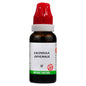 Bjain Homeopathy Calendula Officinalis Mother Tincture Q
