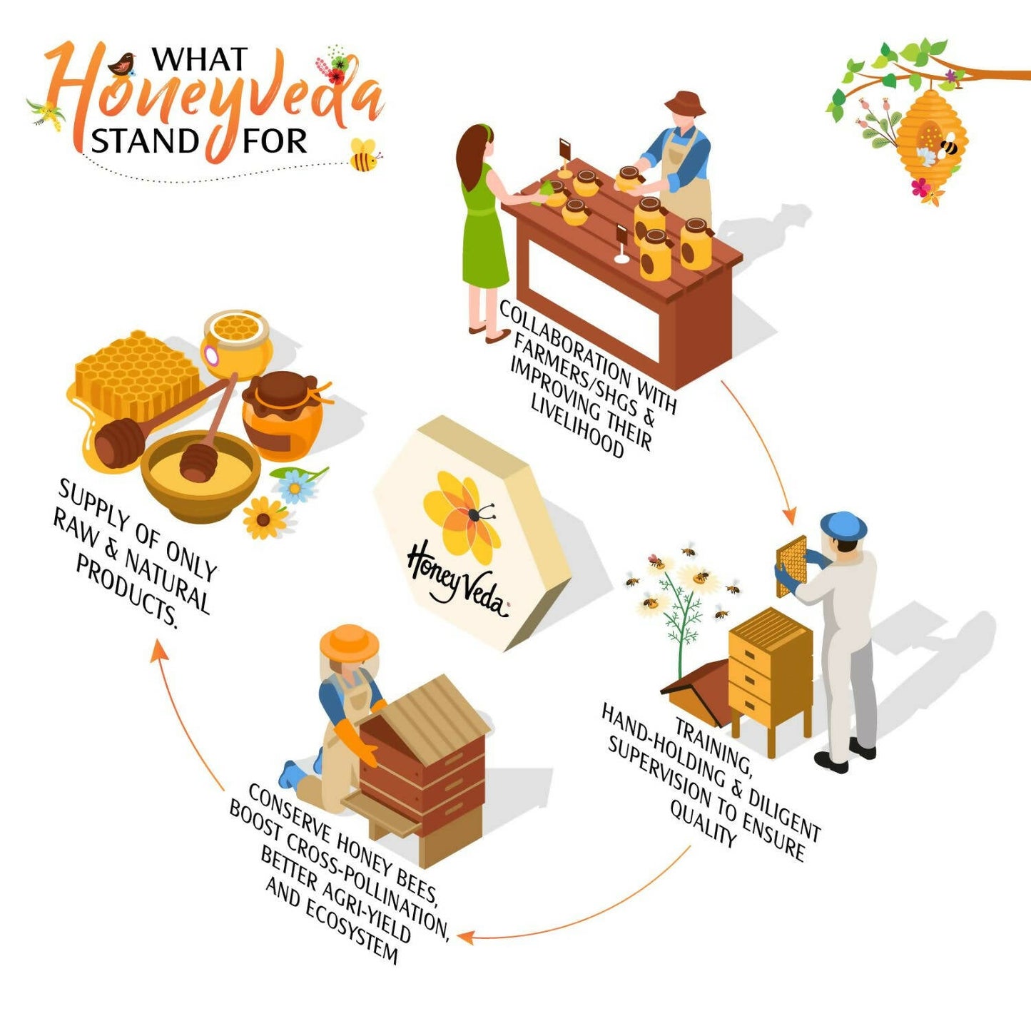 HoneyVeda Premium Raw Eucalyptus Honey
