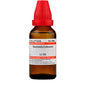 Dr. Willmar Schwabe India Tarentula Cubensis Dilution