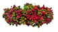Green & Red Pollens Bridal Hair Gajra