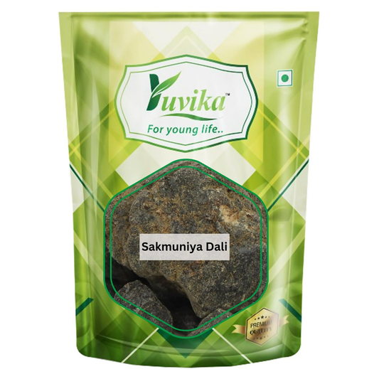Yuvika Sakmuniya Dali - Saqmoonia Dali - Convolvulus Scammonia