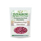 Yuvagrow Strawberry Kaju Chocolates