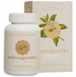 Baidyanath Jhansi Ayuvedant Ashwagandha Tablets