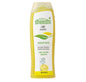 Dhathri Ayurveda Dheedhi Lime Shampoo