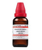 Dr. Willmar Schwabe India Arsenicum Sulphuratum Rubrum Dilution