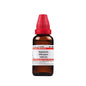 Dr. Willmar Schwabe India Saponaria Officinalis Dilution