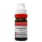 Dr. Reckeweg Caulophyllum Dilution