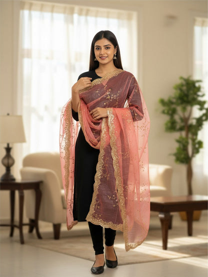 Tissue silk dupatta with sequin work