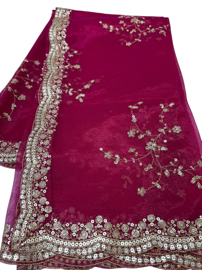 Tissue silk dupatta with sequin work