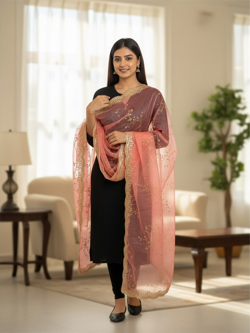 Tissue silk dupatta with sequin work