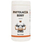 Bakson's Homeopathy Phytolacca Berry Tablets
