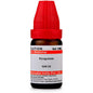 Dr. Willmar Schwabe India Pyrogenium Dilution