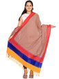 Multicolor Pochampally or Ikat Cotton Handloom Dupatta - Global Threads