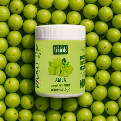 Nature's Trunk Homemade Amla Pickle