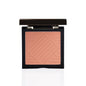 PAC Spotlight Blush - Screenplay