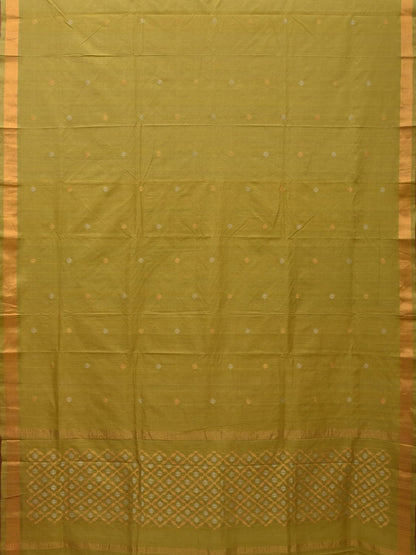 Olive Uppada Cotton Handloom Saree with Jamdani Pallu Design - Global Threads