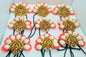 Traditional Plait Set / Jadapali / Jada Billalu / Jada Kunjalam For Women
