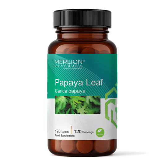 Merlion Naturals Papaya Leaf 500mg Tablets