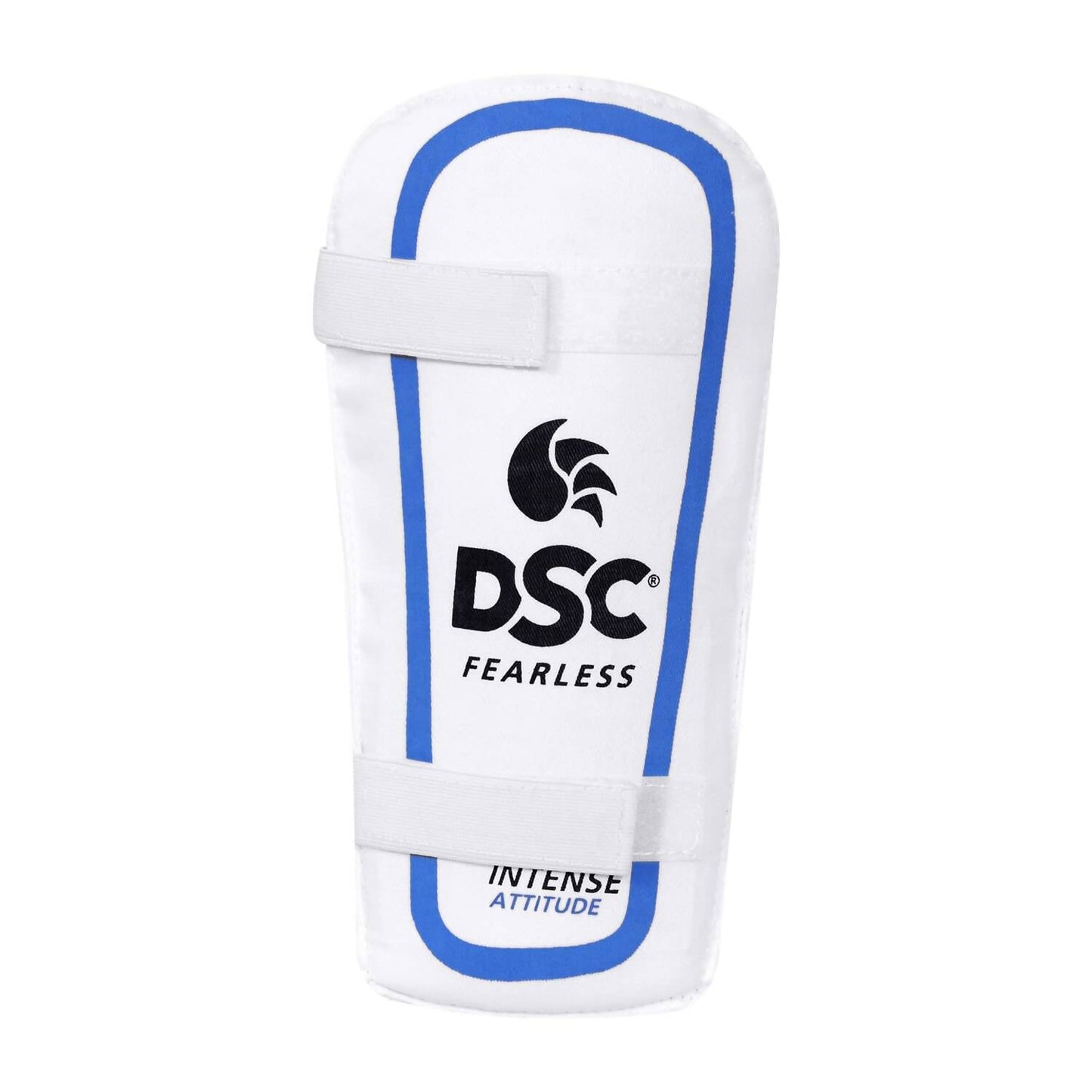 DSC Economy Kashmir Willow Cricket Kit (Size 5)