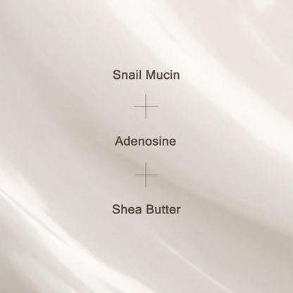 Mizon Snail Wrinkle Care Sleeping Pack Overnight Mask