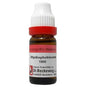 Dr. Reckeweg Hydrophobinum Dilution