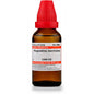 Dr. Willmar Schwabe India Negundium Americana Dilution