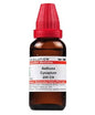 Dr. Willmar Schwabe India Aethusa Cynapium Dilution