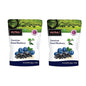 Nutraj American Dried Blueberry
