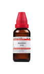 Dr. Willmar Schwabe India Absinthium Dilution