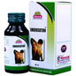 Wheezal Homeopathy Embrocation Massage Oil