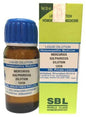 SBL Homeopathy Mercurius Sulphuricus Dilution