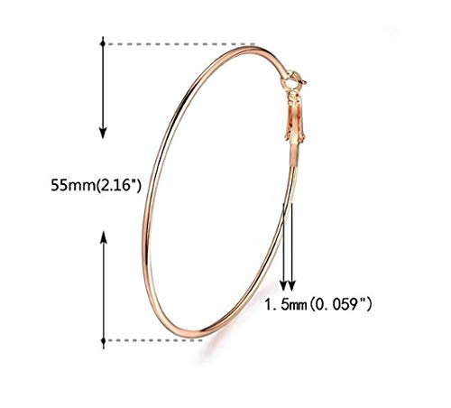 Rhodium-Plated Alloy Assorted Hoop Earrings Combo - The Pari