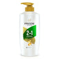 Pantene 2 In 1 Silky Smooth Care Shampoo + Conditioner