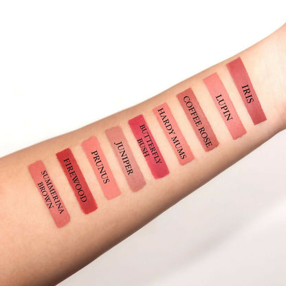 Love Earth Non Transfer Crayon Lipstick-Firewood