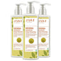 Jiva Ayurveda Henna Shampoo
