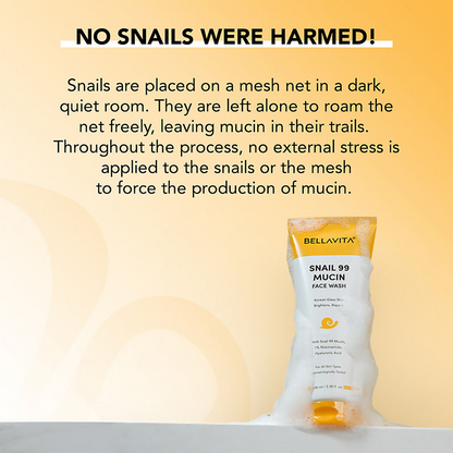 Bella Vita Organic Snail 99 Mucin Face Wash