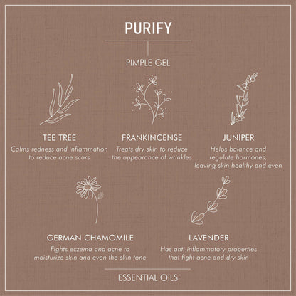 Secret Alchemist Purify Pimple Gel