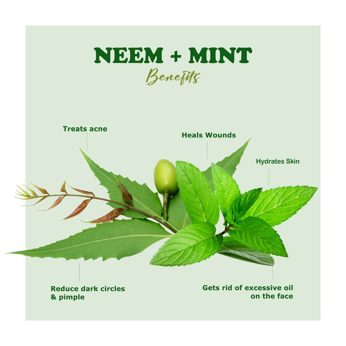Kimayra Organic Neem + Mint Face Pack Powder For Clean & Clear Skin, Help In Reduce Pimple/Acne, Marks & Scars