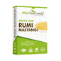 Attar Ayurveda Rumi Mastangi