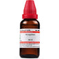 Dr. Willmar Schwabe India Pyrogenium Dilution