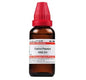 Dr. Willmar Schwabe India Carica Papaya Dilution