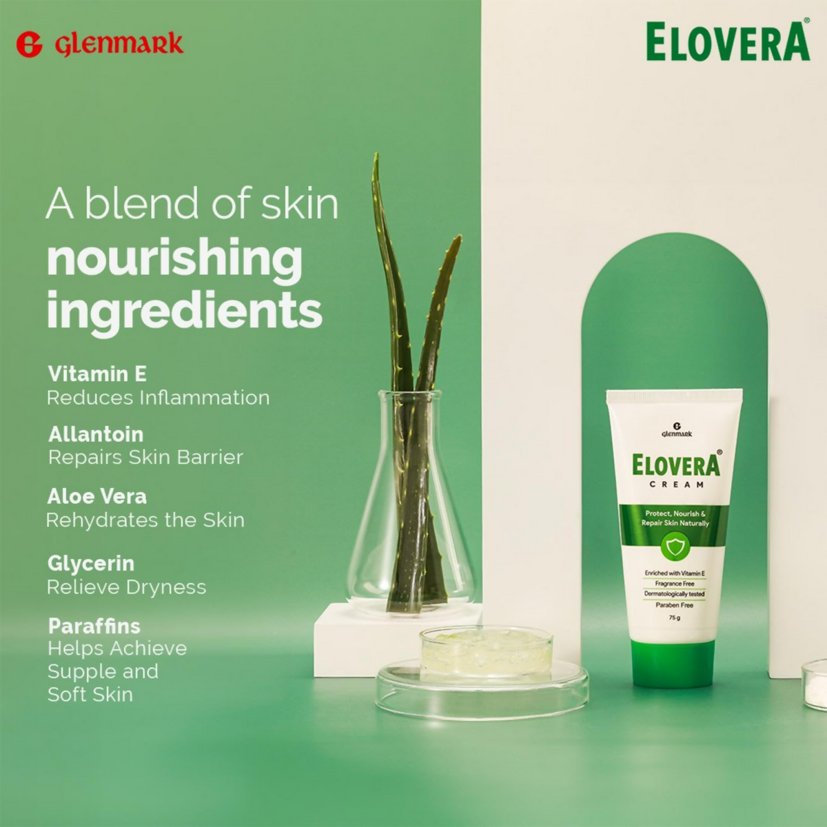 Glenmark Elovera Moisturising Cream For Dry Skin