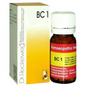 Dr. Reckeweg Bio Combination 1 (BC 1) Tablets