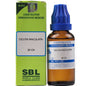 SBL Homeopathy Cicuta Maculata Dilution