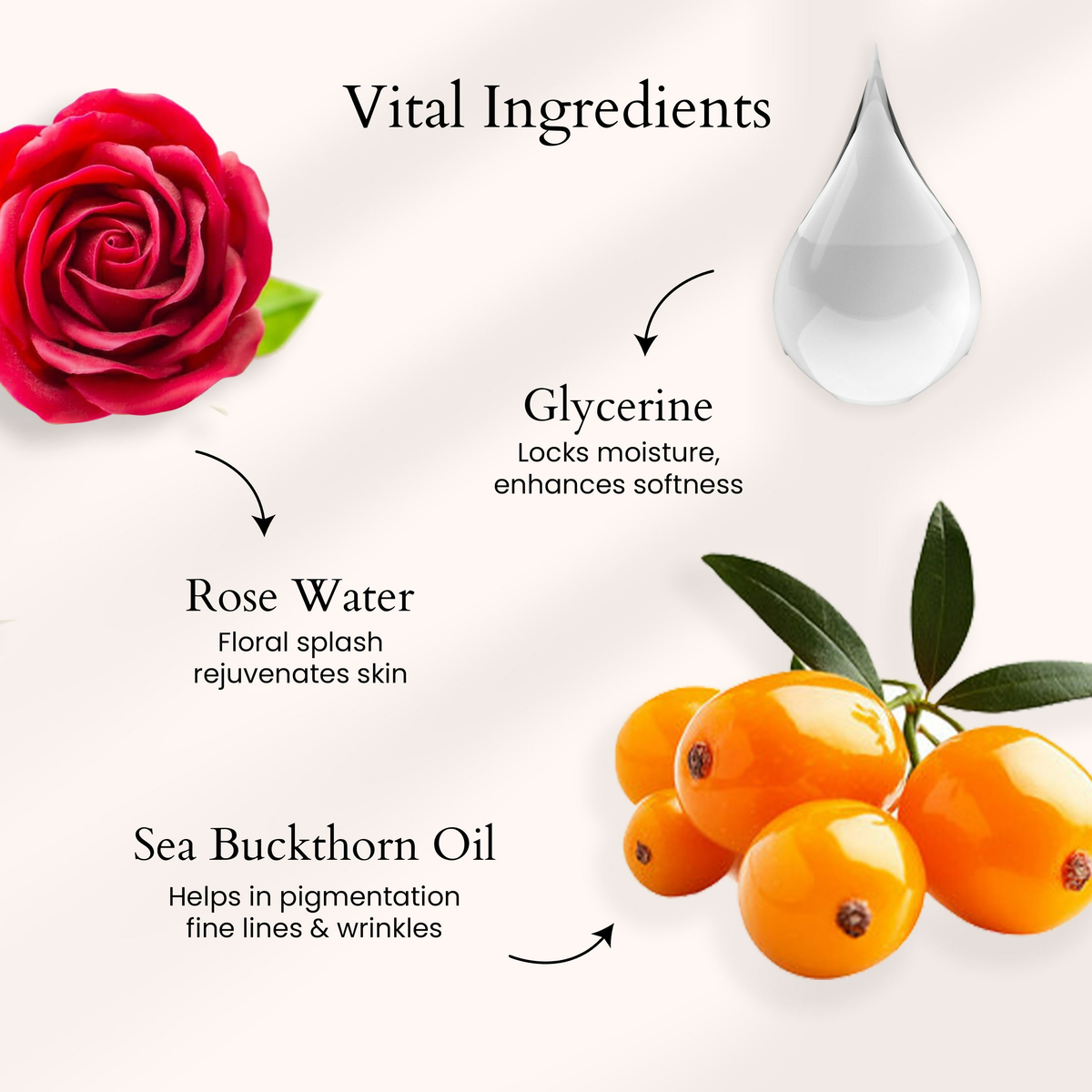 Panash Retinol Face Serum