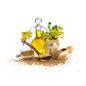 Svastya Mustard Oil
